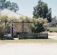 Kidman Wines - Whitsundays Accommodation