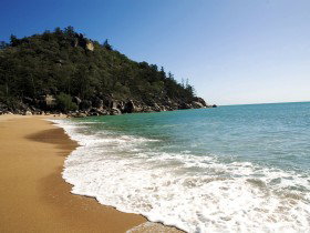 Horseshoe Bay - Whitsundays Accommodation 0