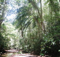 Mount Lewis National Park - Whitsundays Accommodation
