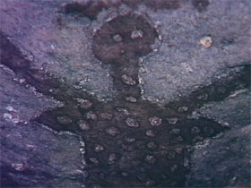 Quinkan Reserves Ancient Rock Art - Whitsundays Accommodation 0