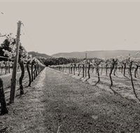 Halls Gap Estate - Whitsundays Accommodation