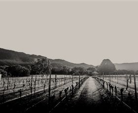Halls Gap Estate - Whitsundays Accommodation 1