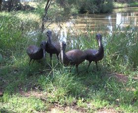 East Tolans Farm Tour - Whitsundays Accommodation 0
