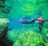 Piccaninnie Ponds Conservation Park - Whitsundays Accommodation