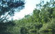 Crawford River Regional Park - thumb 0