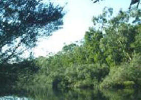 Crawford River Regional Park - Whitsundays Accommodation 0