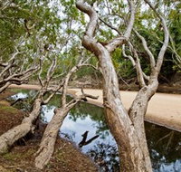 Oyala Thumotang National Park CYPAL - Whitsundays Accommodation