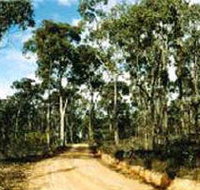 Paddys Ranges State Park - Whitsundays Accommodation