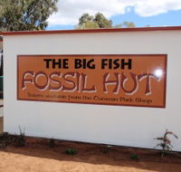 Big Fish Fossil Hut at Peak Hill - Whitsundays Accommodation