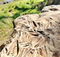 Terramungamine Rock Grooves - Whitsundays Accommodation