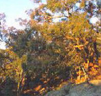 Mount Alexander Regional Park - Whitsundays Accommodation