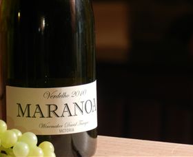 Baptista - David Traeger - Whitsundays Accommodation 0