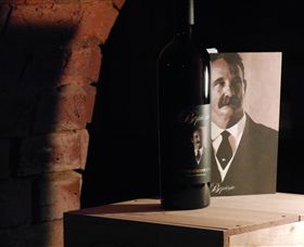 Baptista - David Traeger - Whitsundays Accommodation 1