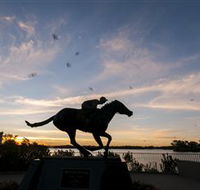 Black Caviar Statue - Whitsundays Accommodation