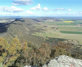 The Rock Nature Reserve - Whitsundays Accommodation 3