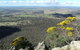 The Rock Nature Reserve - thumb 4