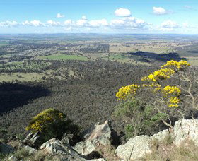 The Rock Nature Reserve - Whitsundays Accommodation 4