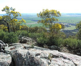 The Rock Nature Reserve - Whitsundays Accommodation 6