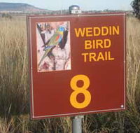 Weddin Bird Trails - Whitsundays Accommodation