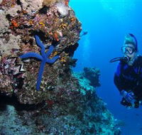 Lighthouse Bommie Dive Site - Whitsundays Accommodation