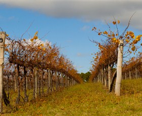 Charles Sturt University Winery Wagga Wagga - Whitsundays Accommodation 3
