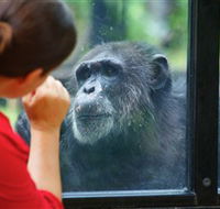 The Rockhampton Zoo - Whitsundays Accommodation