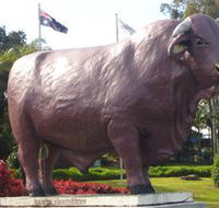 Rockhampton Bull Statues - Whitsundays Accommodation