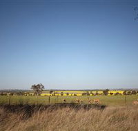 Cootamundra Bird Walk - Whitsundays Accommodation