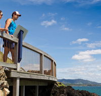Mount Canobolas State Conservation Area - Whitsundays Accommodation