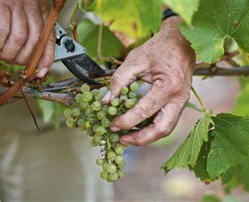 Austins & Co. - Whitsundays Accommodation 1