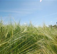 150 Degrees East Meridian - Whitsundays Accommodation