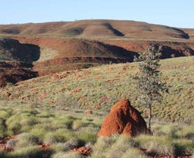 Camel Trail, Millstream-Chichester National Park - Whitsundays Accommodation 0