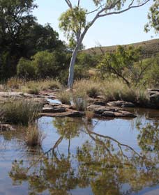 Camel Trail, Millstream-Chichester National Park - Whitsundays Accommodation 3