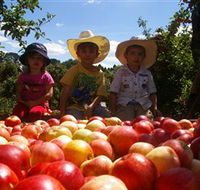 Bonny Glen Fruits - Whitsundays Accommodation
