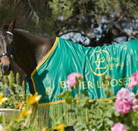 Living Legends The International Home of Rest for Champion Horses - Whitsundays Accommodation