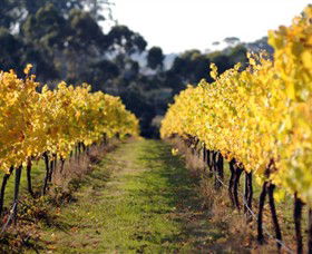 Otway Estate - Whitsundays Accommodation 6