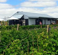 Ravens Creek Farm - Whitsundays Accommodation