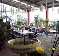 Warwicks Gardens Galore - Whitsundays Accommodation