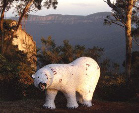 Lost Bear Gallery - Whitsundays Accommodation 0
