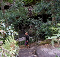 Leura Cascades Fern Bower - Whitsundays Accommodation