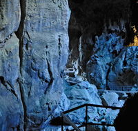 Wombeyan Karst Conservation Reserve - Whitsundays Accommodation