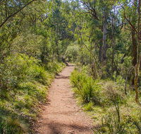 Mares Forest Creek walking track - Whitsundays Accommodation