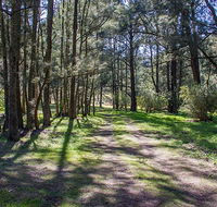 Wombeyan Waterfall walking track - Whitsundays Accommodation