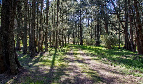Wombeyan Waterfall Walking Track - Whitsundays Accommodation 0