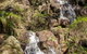 Wombeyan Waterfall Walking Track - thumb 3