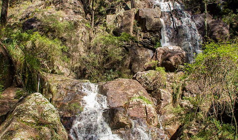 Wombeyan Waterfall Walking Track - Whitsundays Accommodation 3