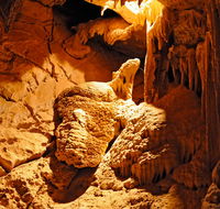 Fig Tree Cave - Whitsundays Accommodation