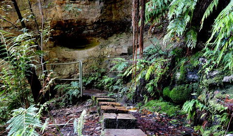 Gordon Falls Lookout And Picnic Area - Whitsundays Accommodation 2