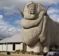Big Merino - Whitsundays Accommodation