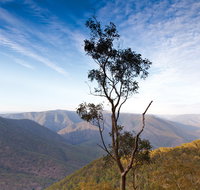 Salisbury Waters walking track - Whitsundays Accommodation
